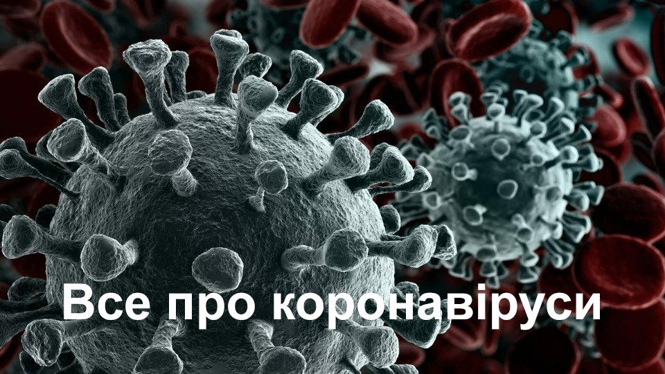 Що ми знаємо про коронавіруси?